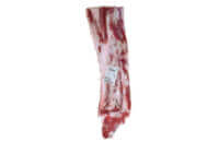 Hindquarter, flank on